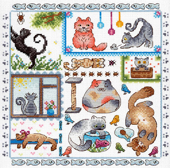 НВ-894 Семплер. Котовасия 20*20