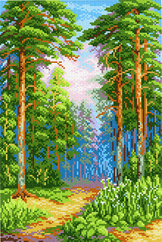 Схема СК-066 Сосновый бор 40*30/30*20