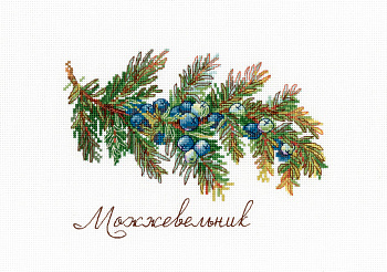 НВ-913 Дары природы. Можжевельник 12*16