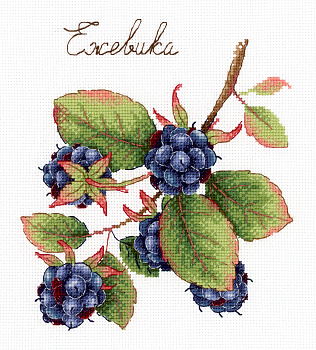 НВ-696 Дары природы. Ежевика 20*15