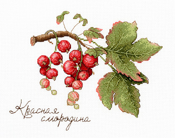 НВ-695 Дары природы. Красная смородина 15*20